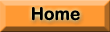 Home Button